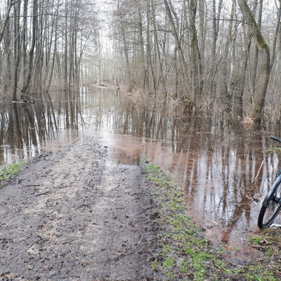 überfluteter-Müritz-Rundweg-zwischen-Sembzin-und-Sietow.jpg